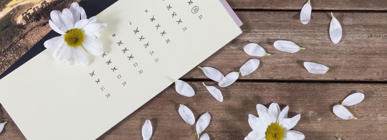 2019 год - Выходные и праздничные дни в 2019 году 2019 год - Выходные и праздничные дни в 2019 году | праздники