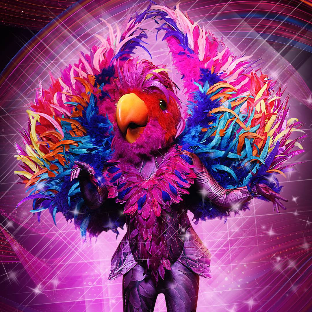 папуга маскарад