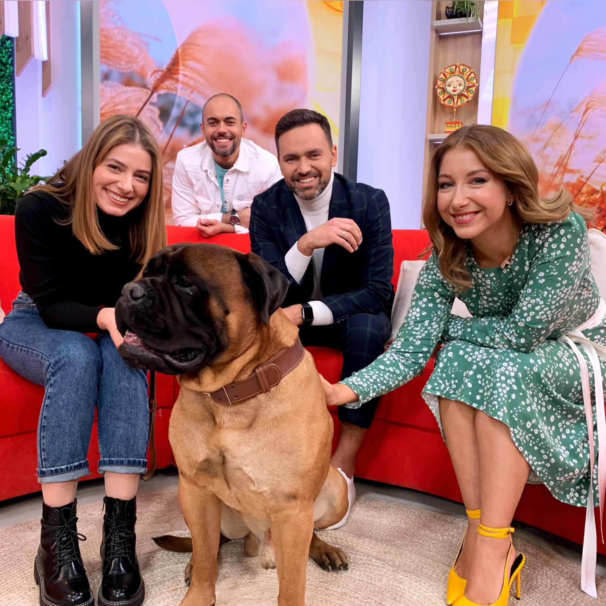 Петрожицька