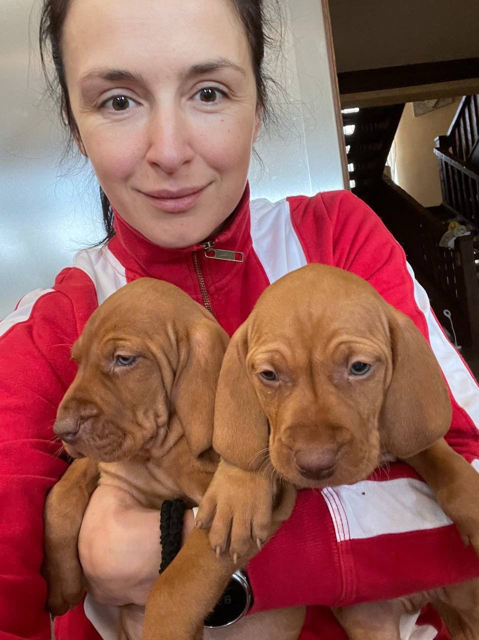 Хамайко щеночки