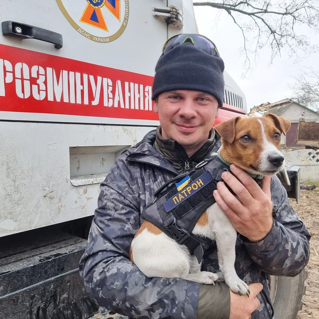 Комаров Дмитро