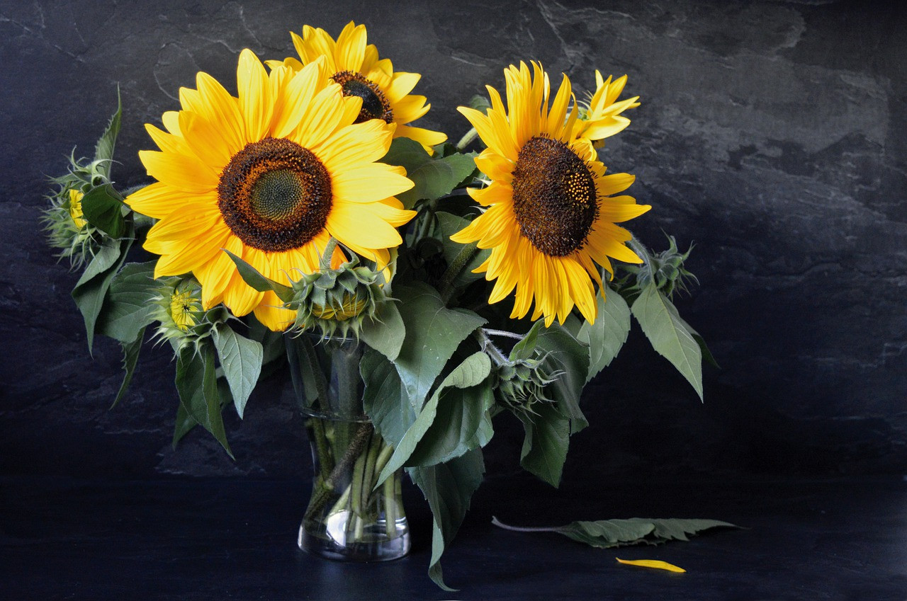 вітання зі святом покрови