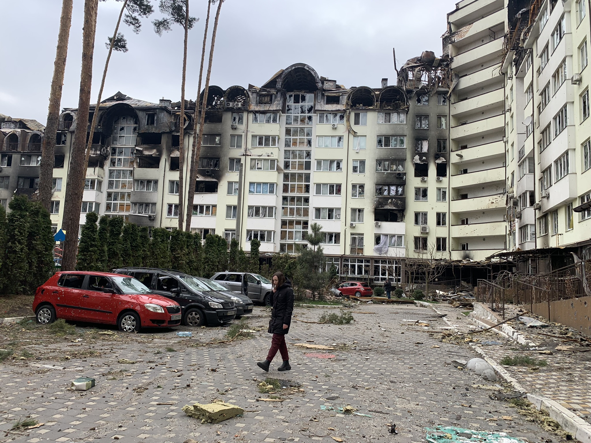 влада грубич