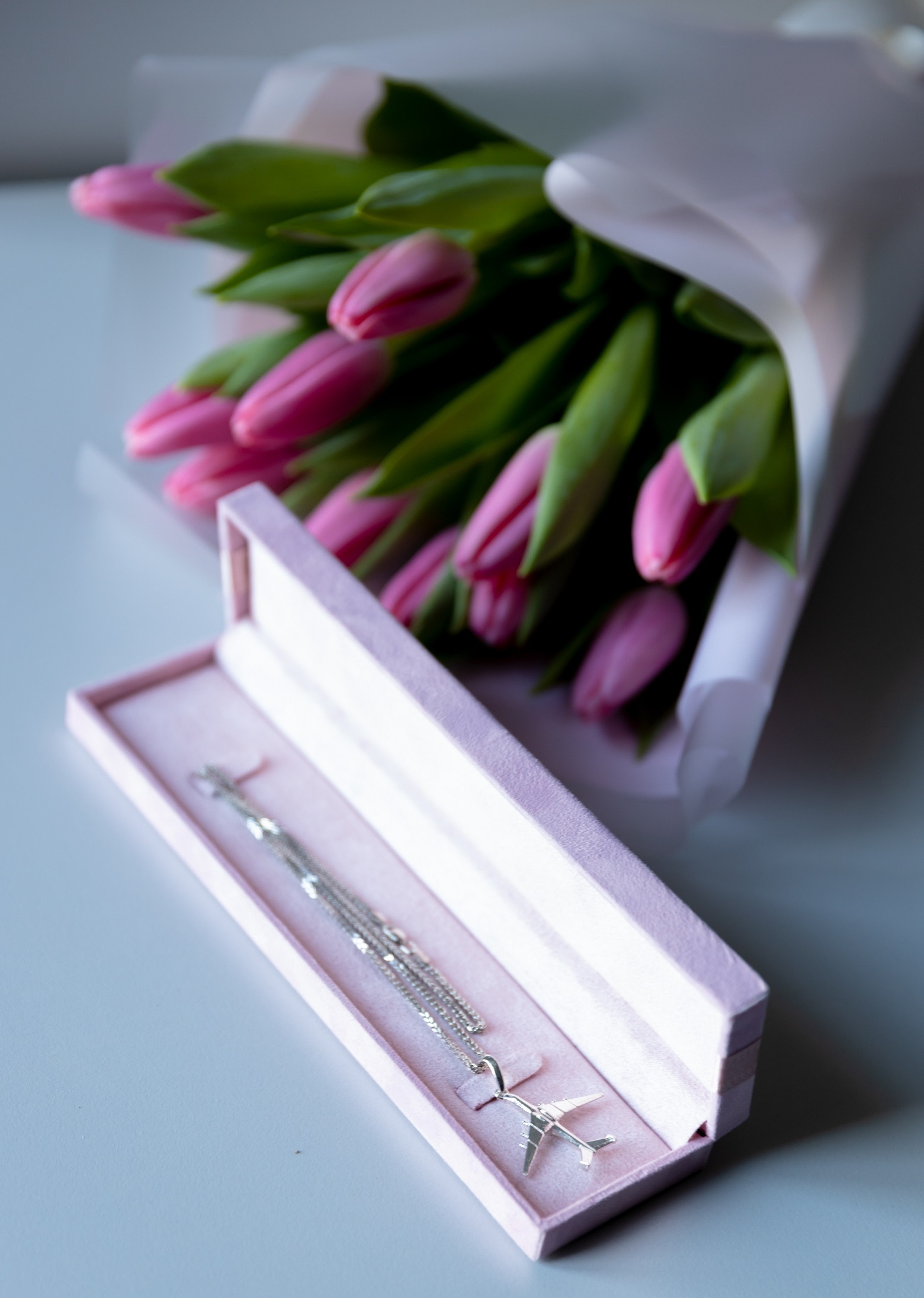 неля шовкопляс