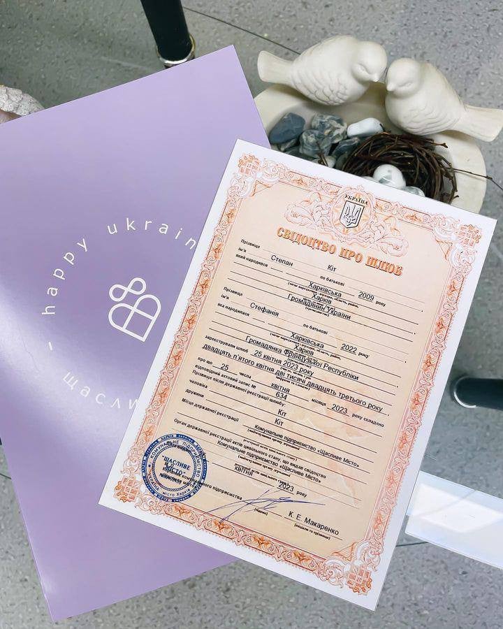 кот степан 1+1