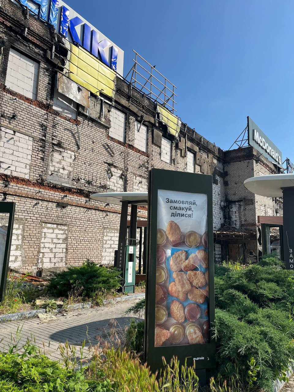 костянтин грубич