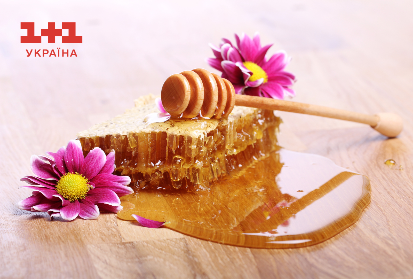 Зі святом Маковія Медовий спас 1+1