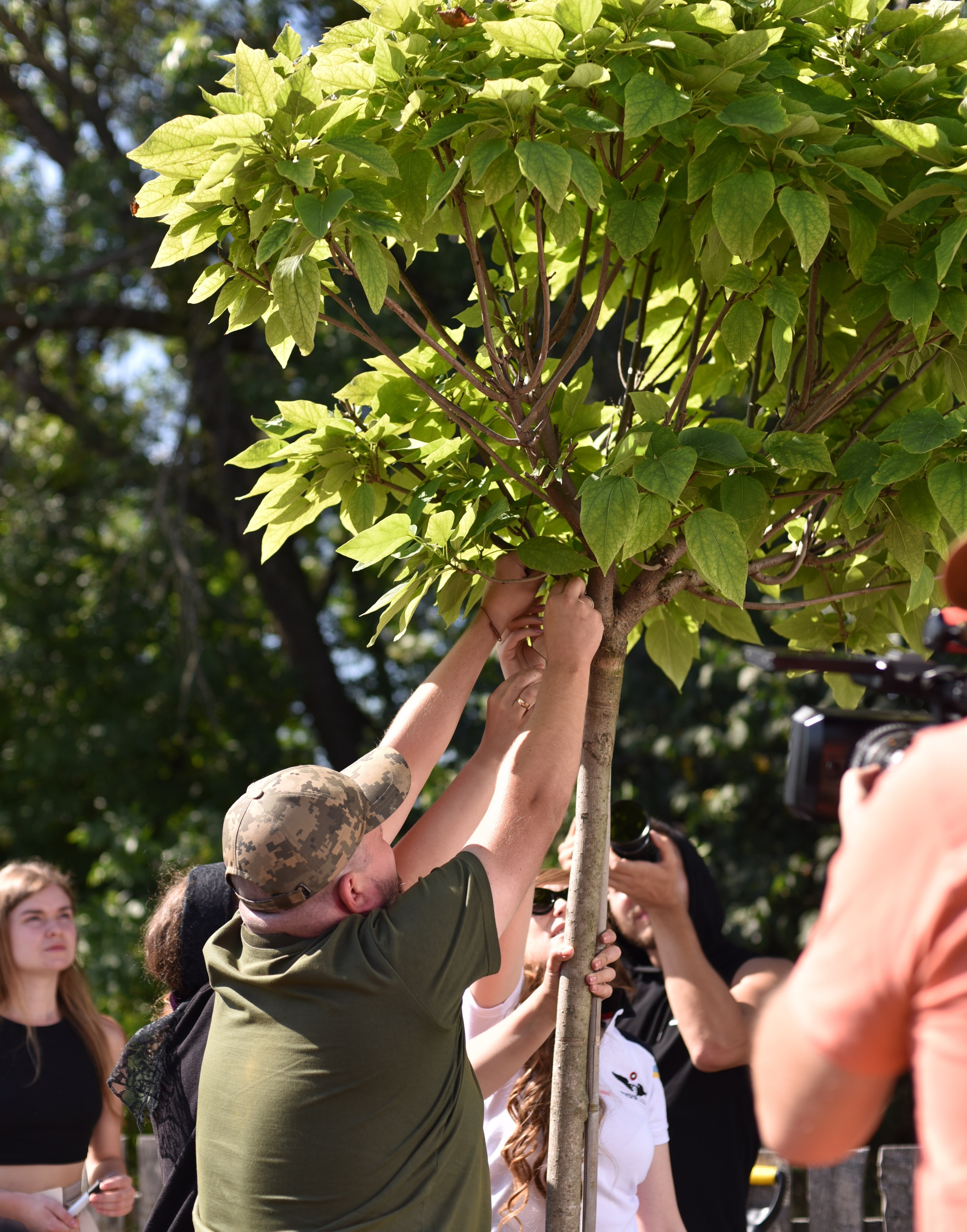 Гай дитячих снів