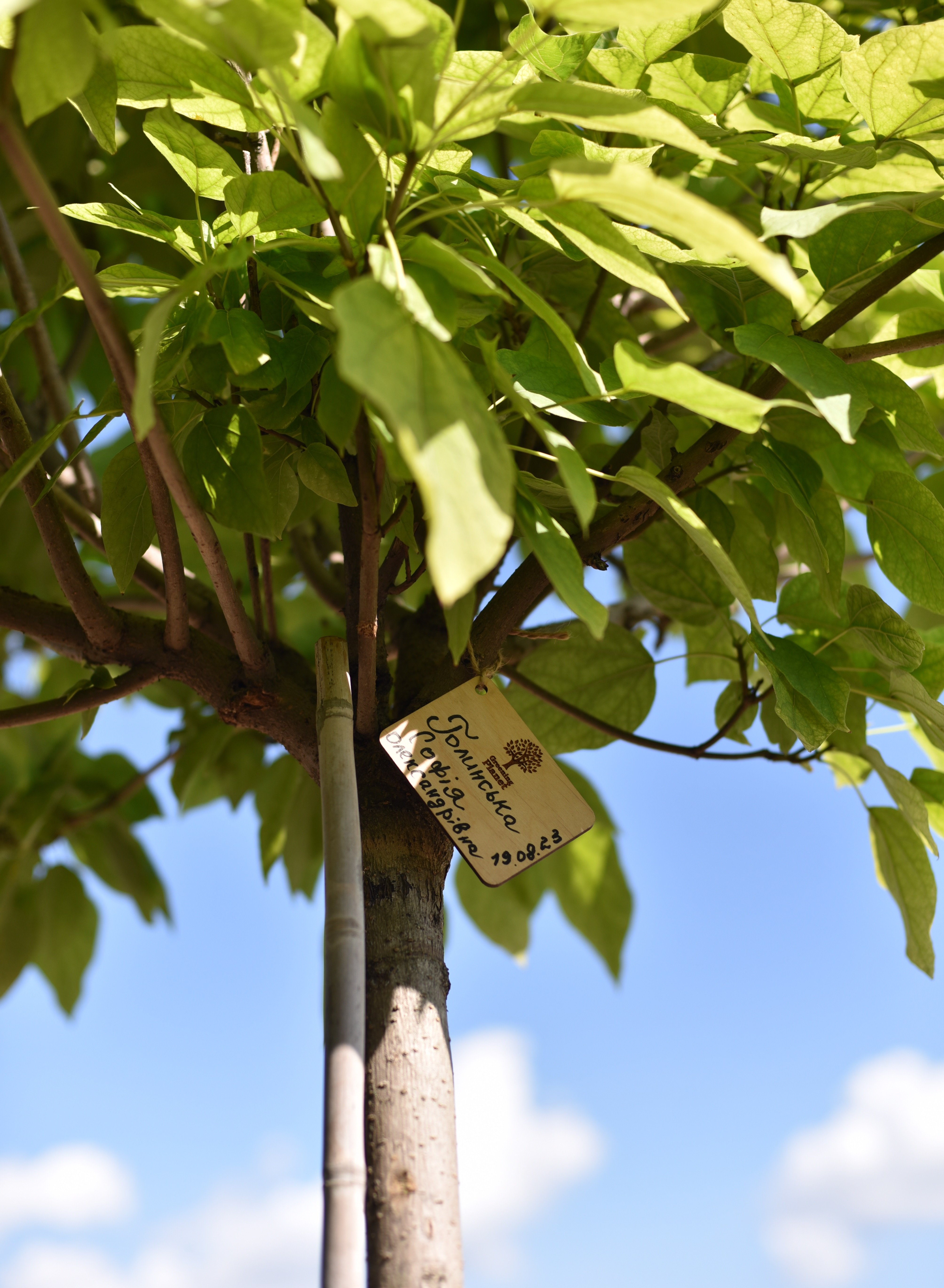 Гай дитячих снів