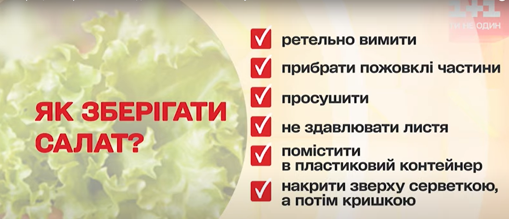 как хранить листья салата