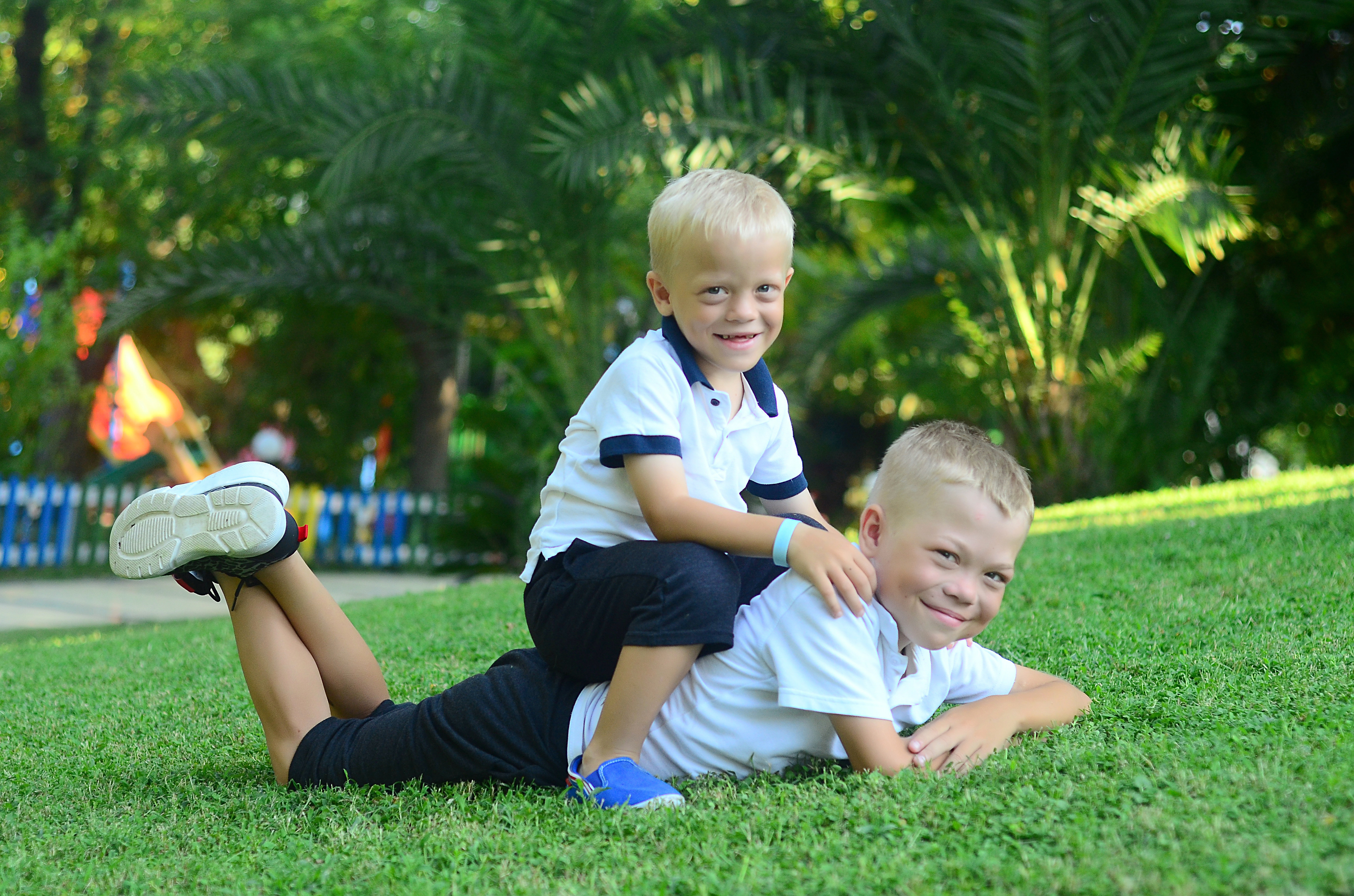 Юрій та Сашко Синиці