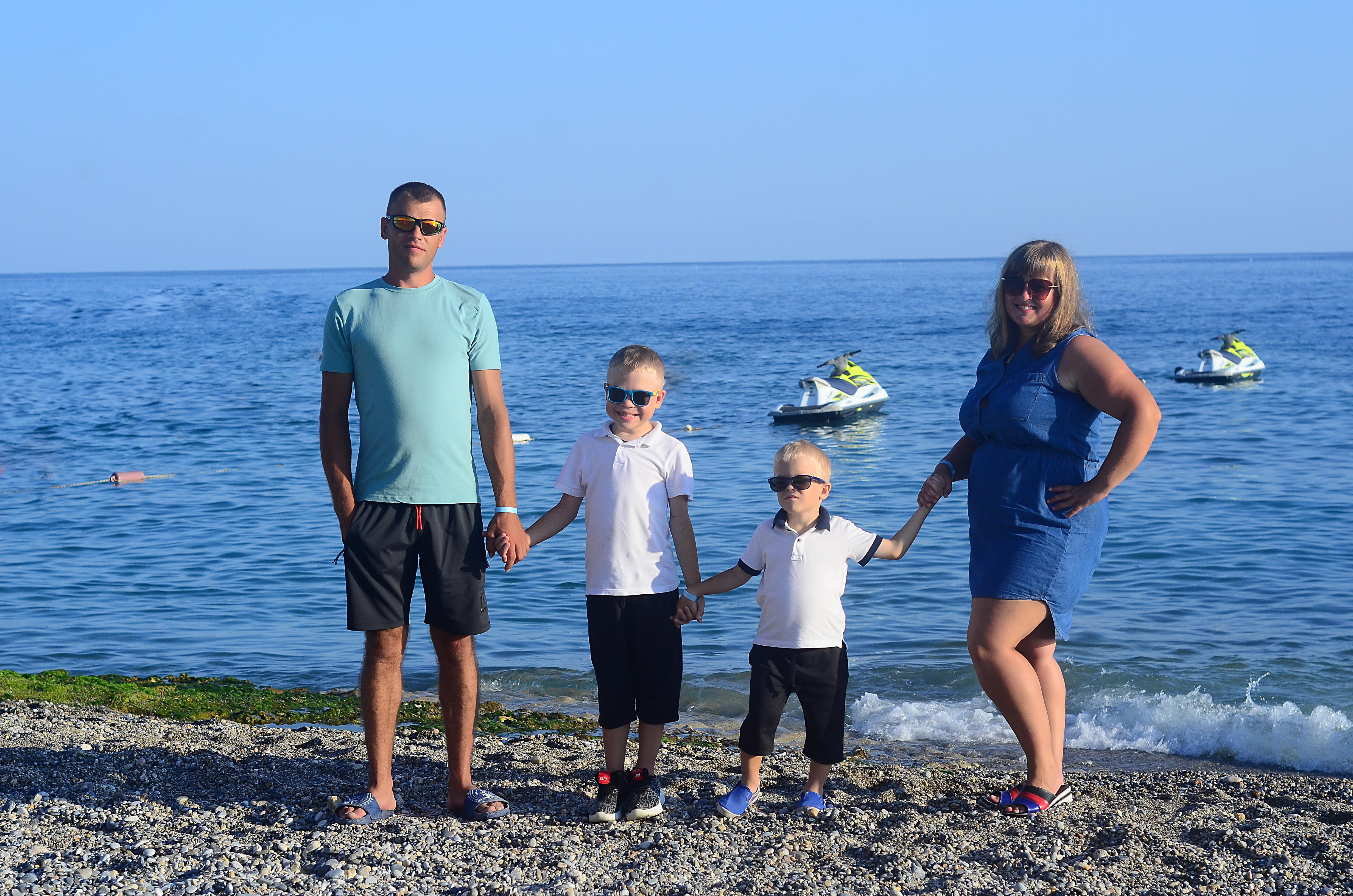 Родина Синиць