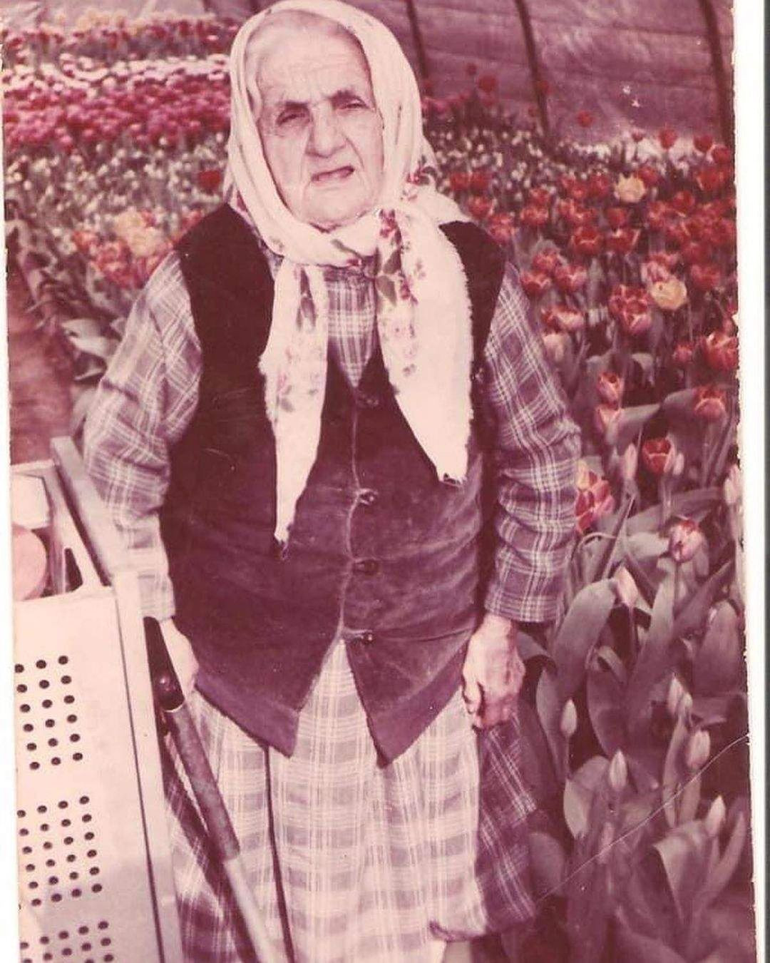 Джамала бабуся