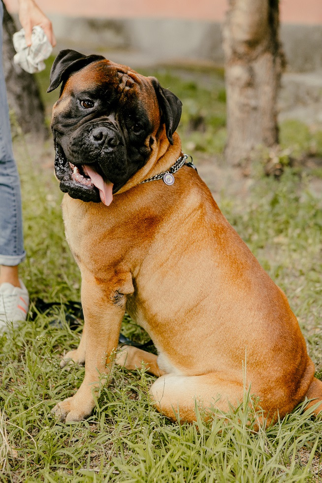 Джек&Лондон