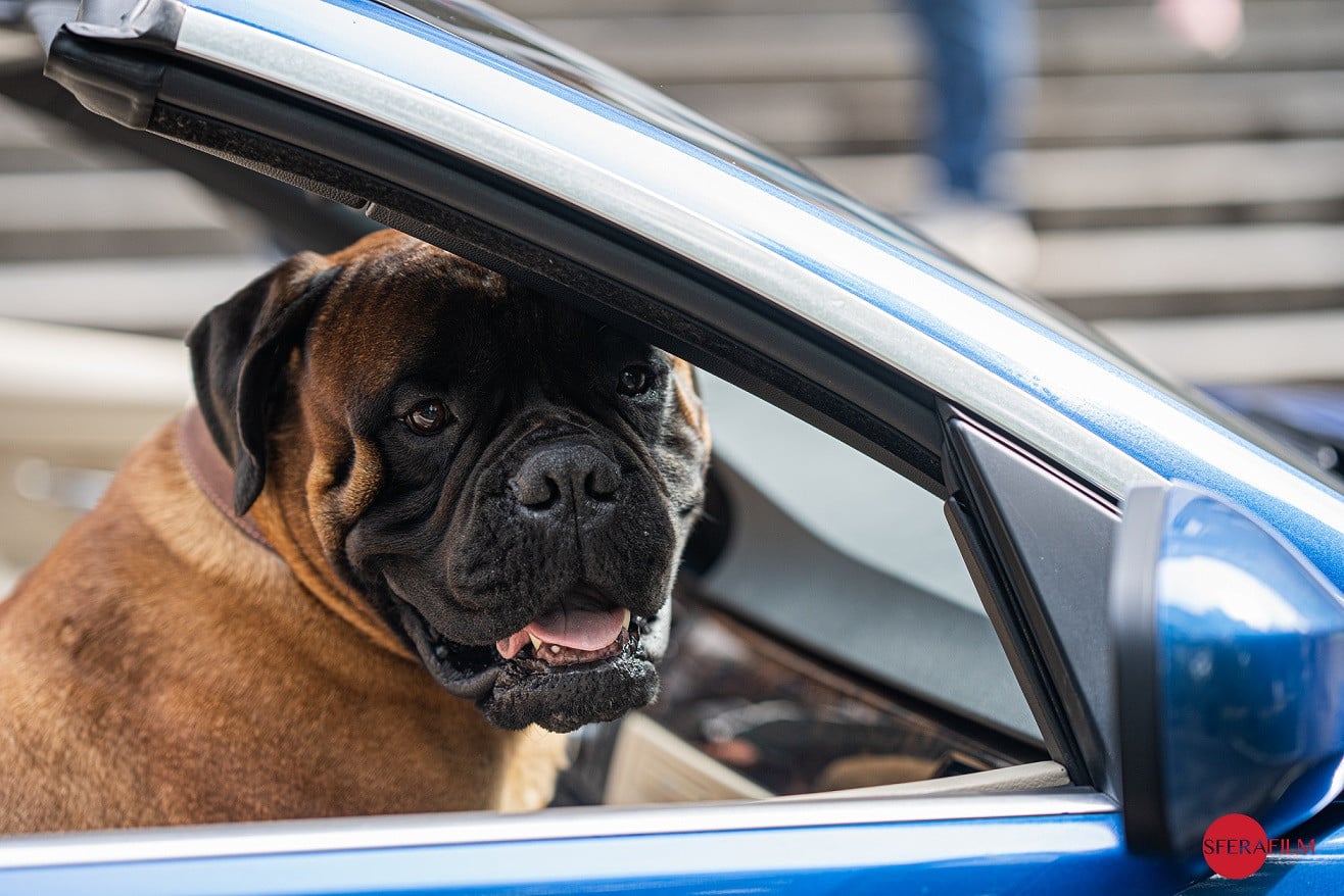 Джек і Лондон серіал фото
