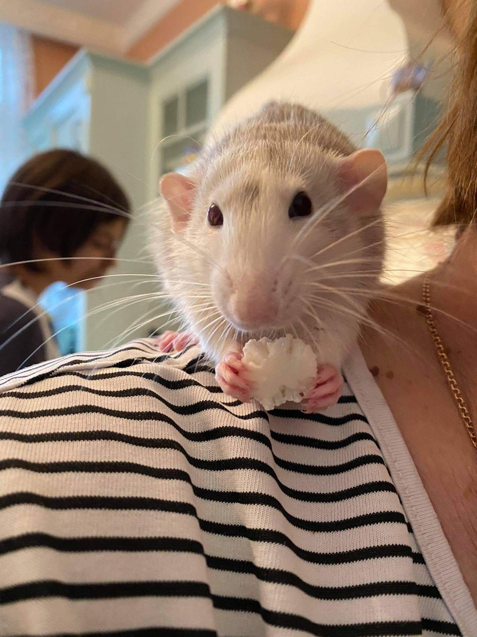 Ванникова Ірина Щур