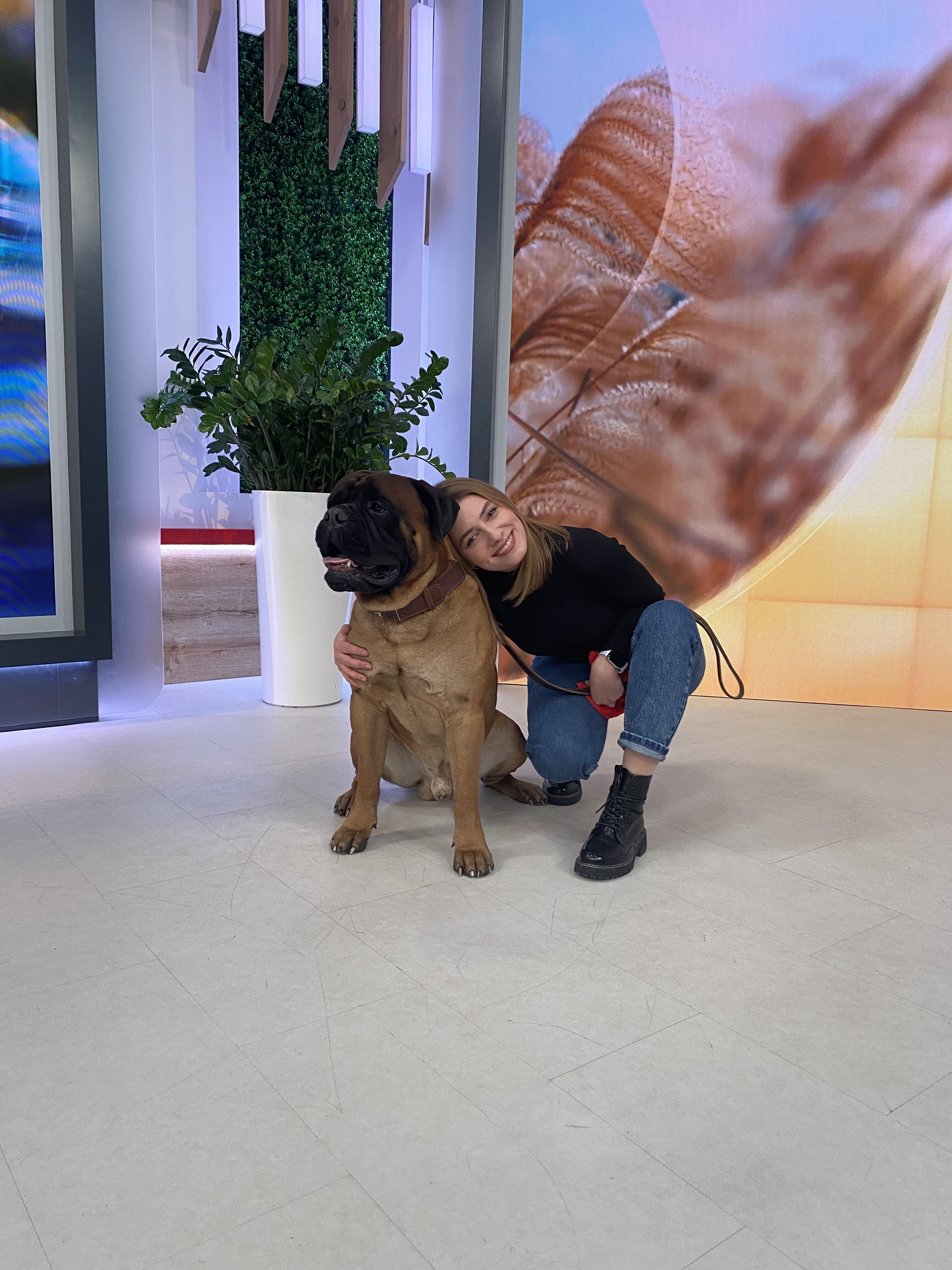 Петрожицька Джек і Лондон