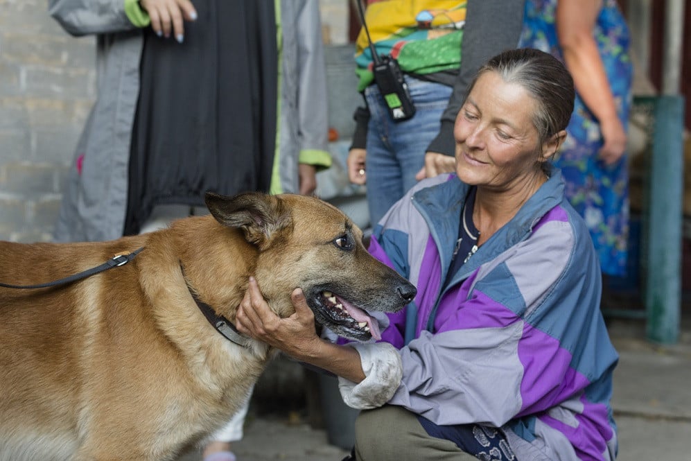 Погані дороги