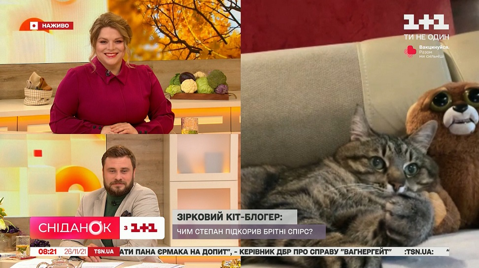 кіт степан фото