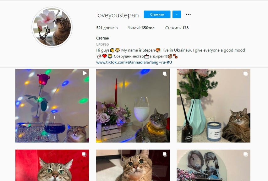 інстаграм кота Степана фото