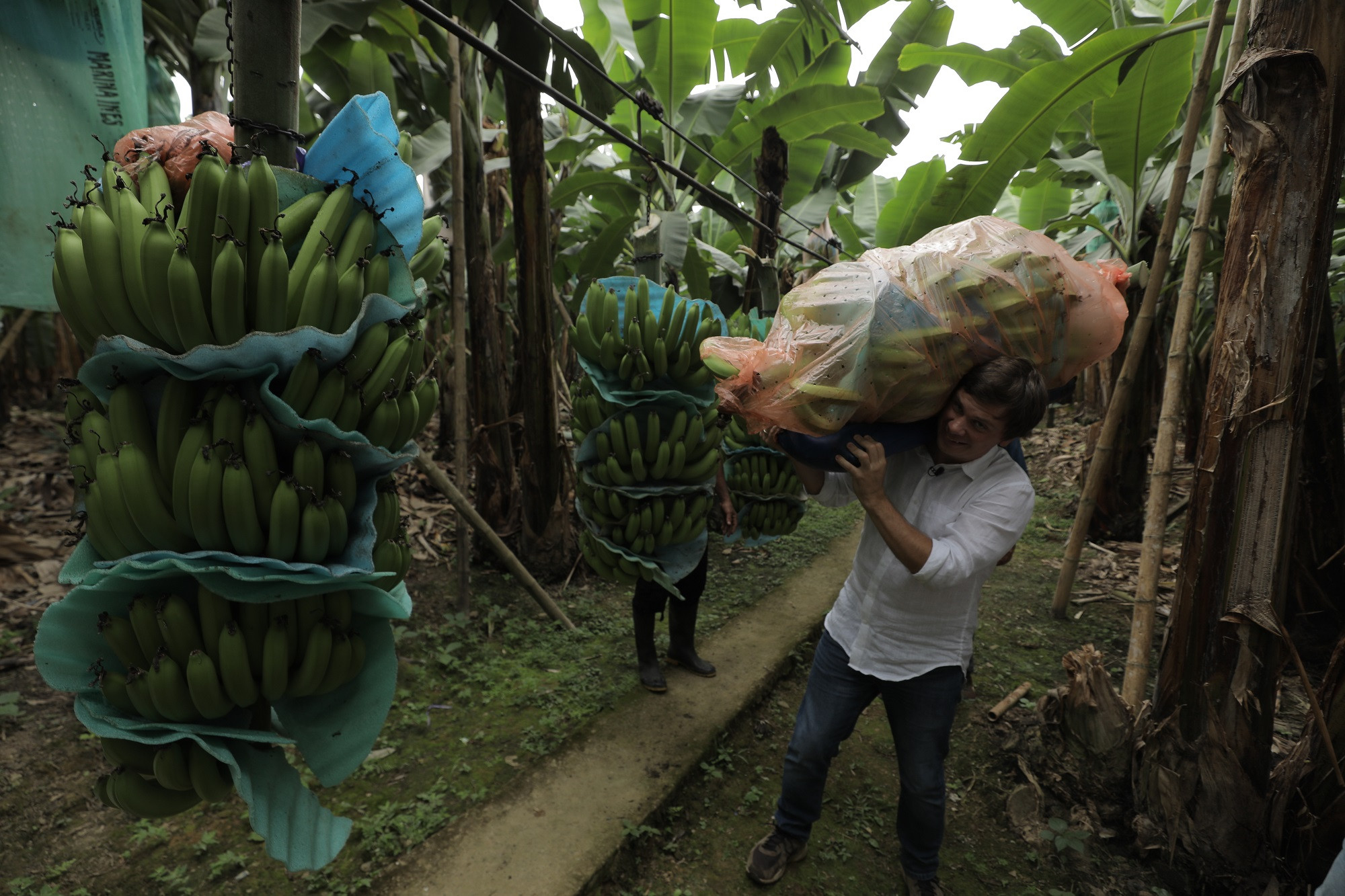 Світ навиворіт