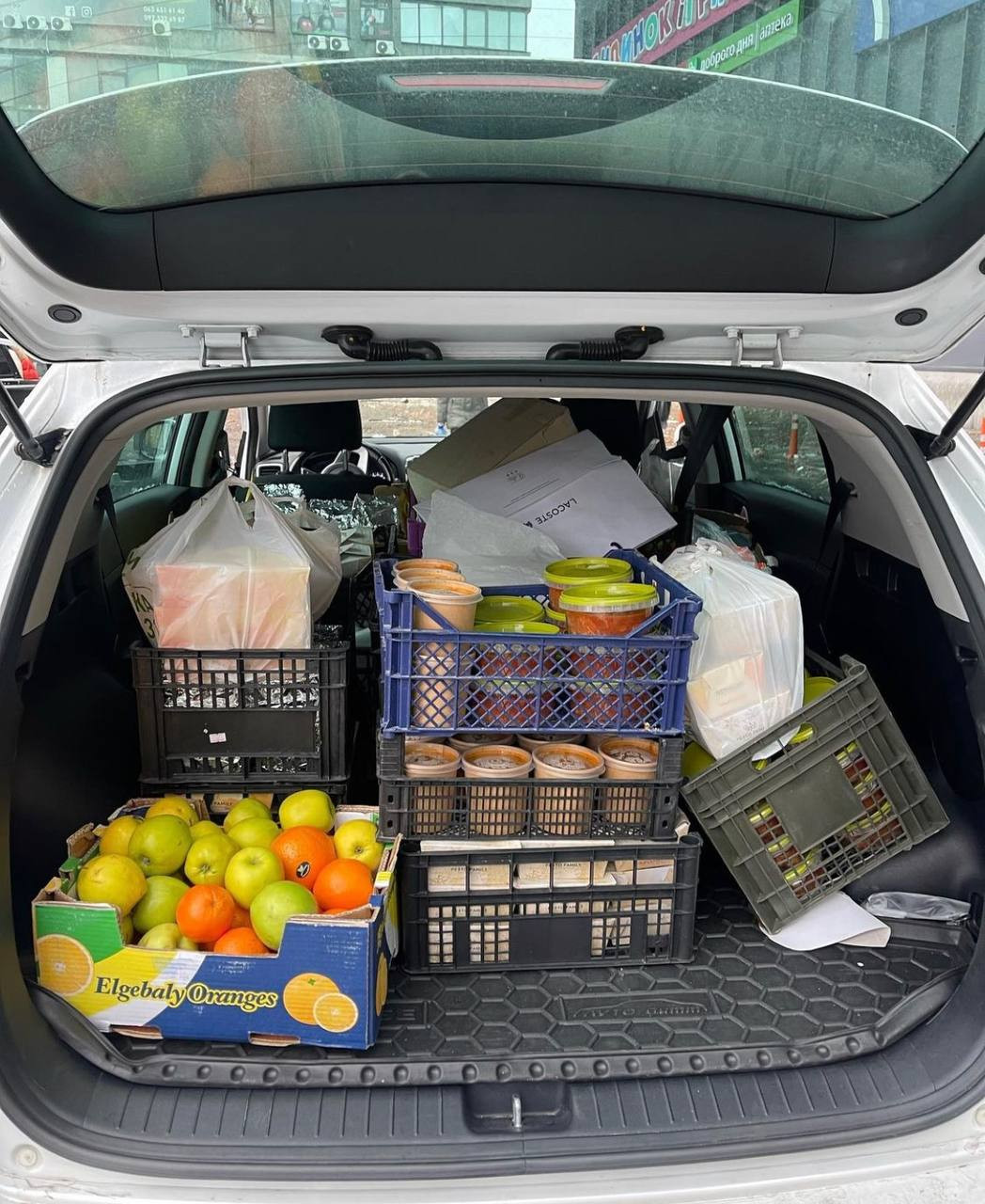 Соломія Вітвицька