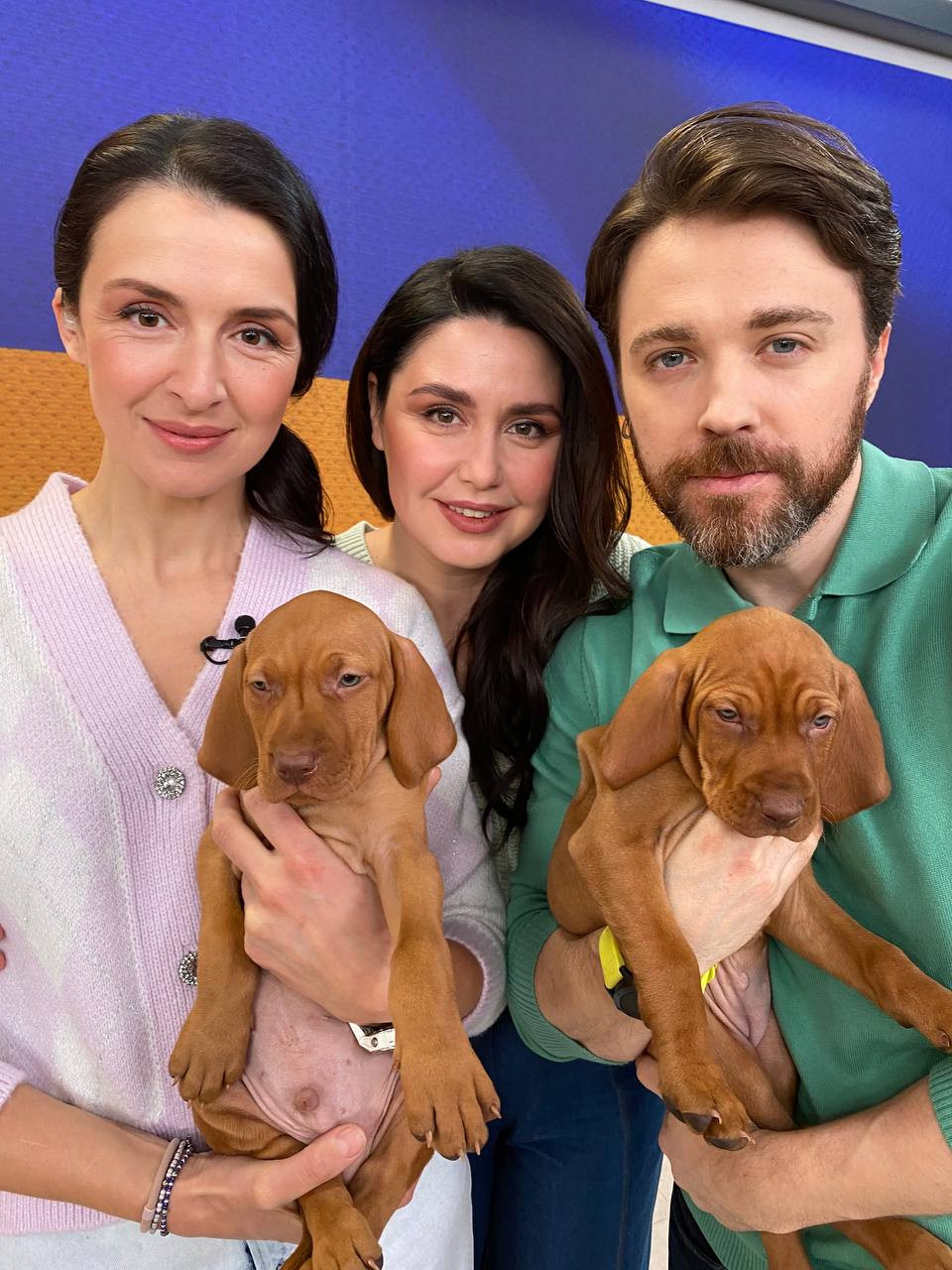 Барбір Попов Хамайко