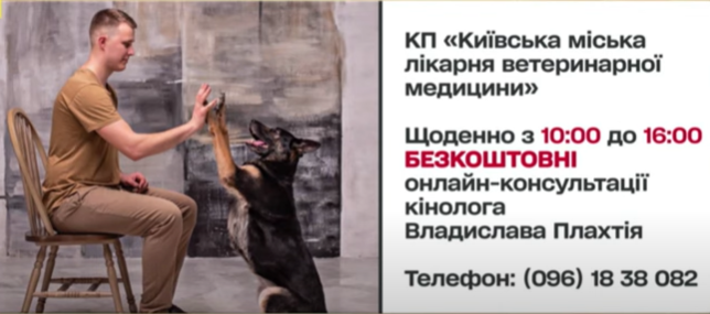 собака допомога кінолог