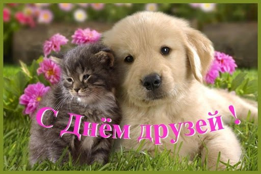 день друзей