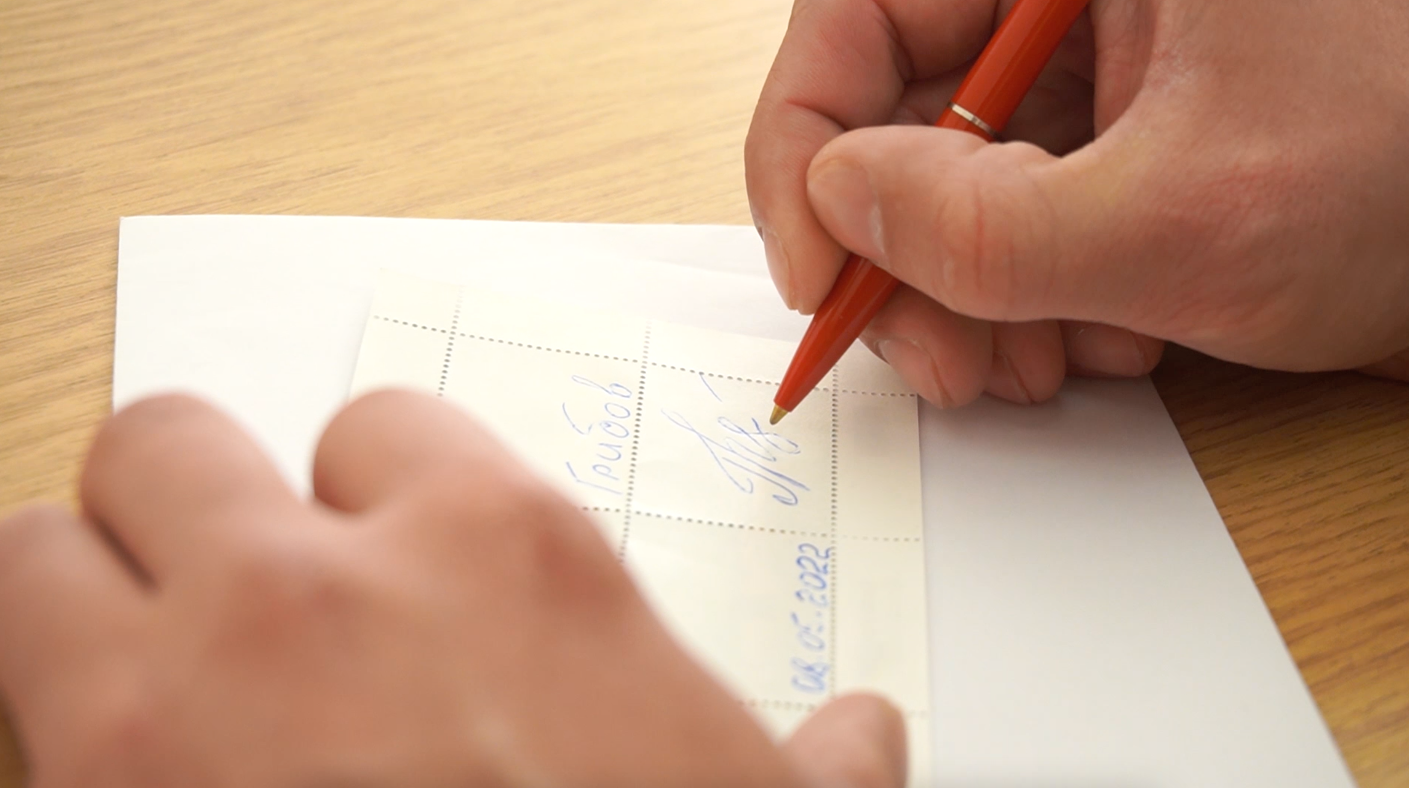 Соломія Вітвицька марки