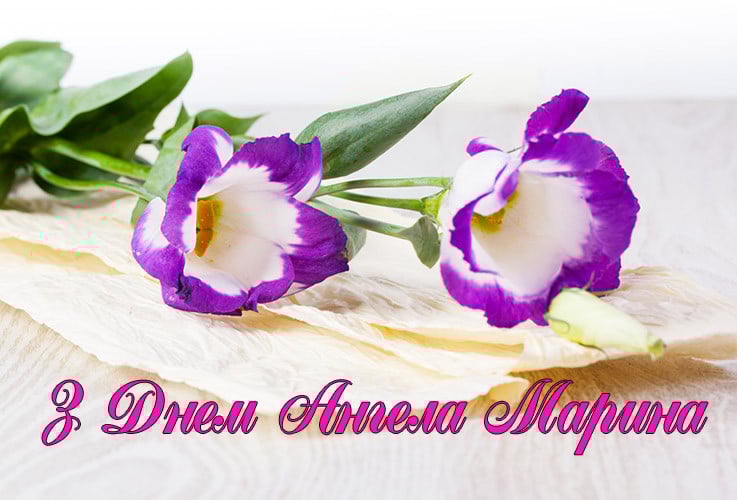 З Днем Марини
