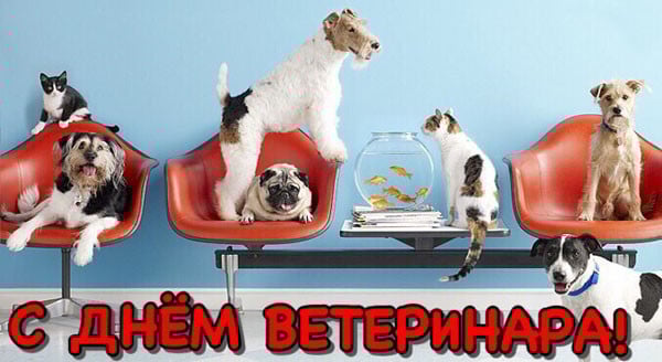 З Днем ветеринара