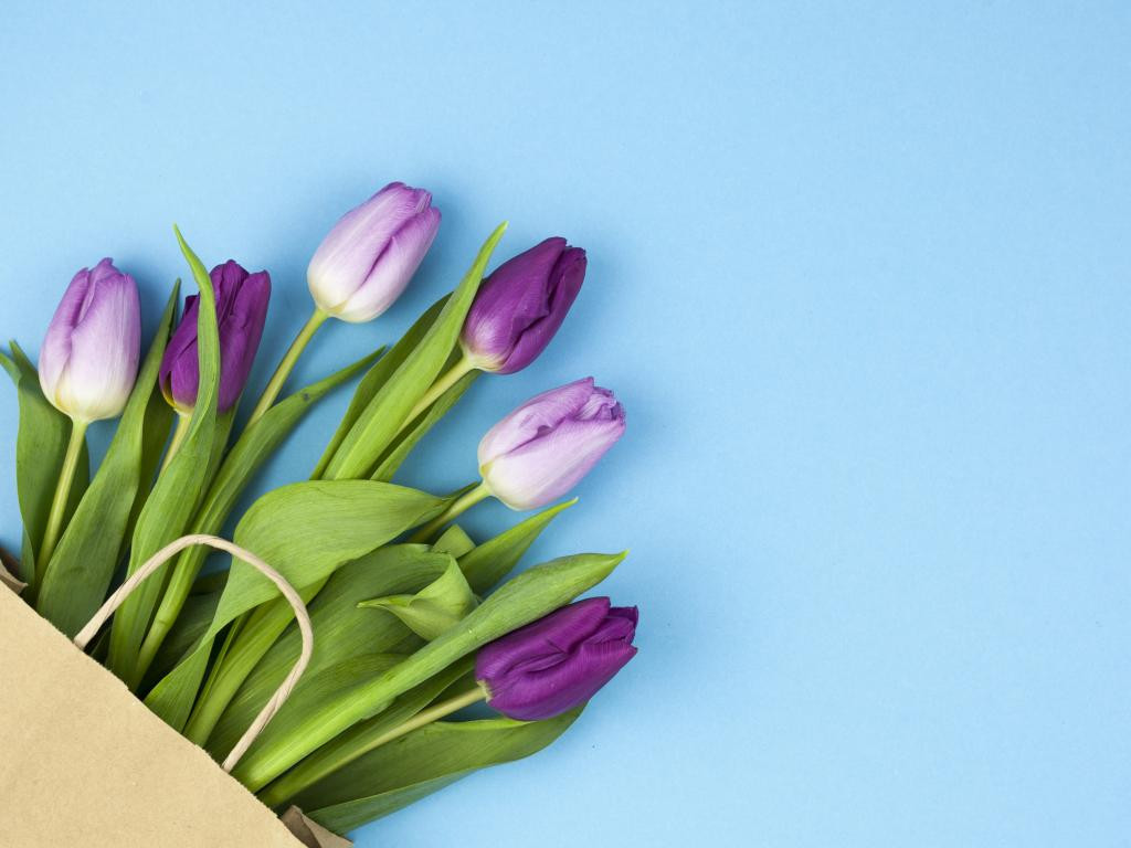 С Днем ангела Константина 2023