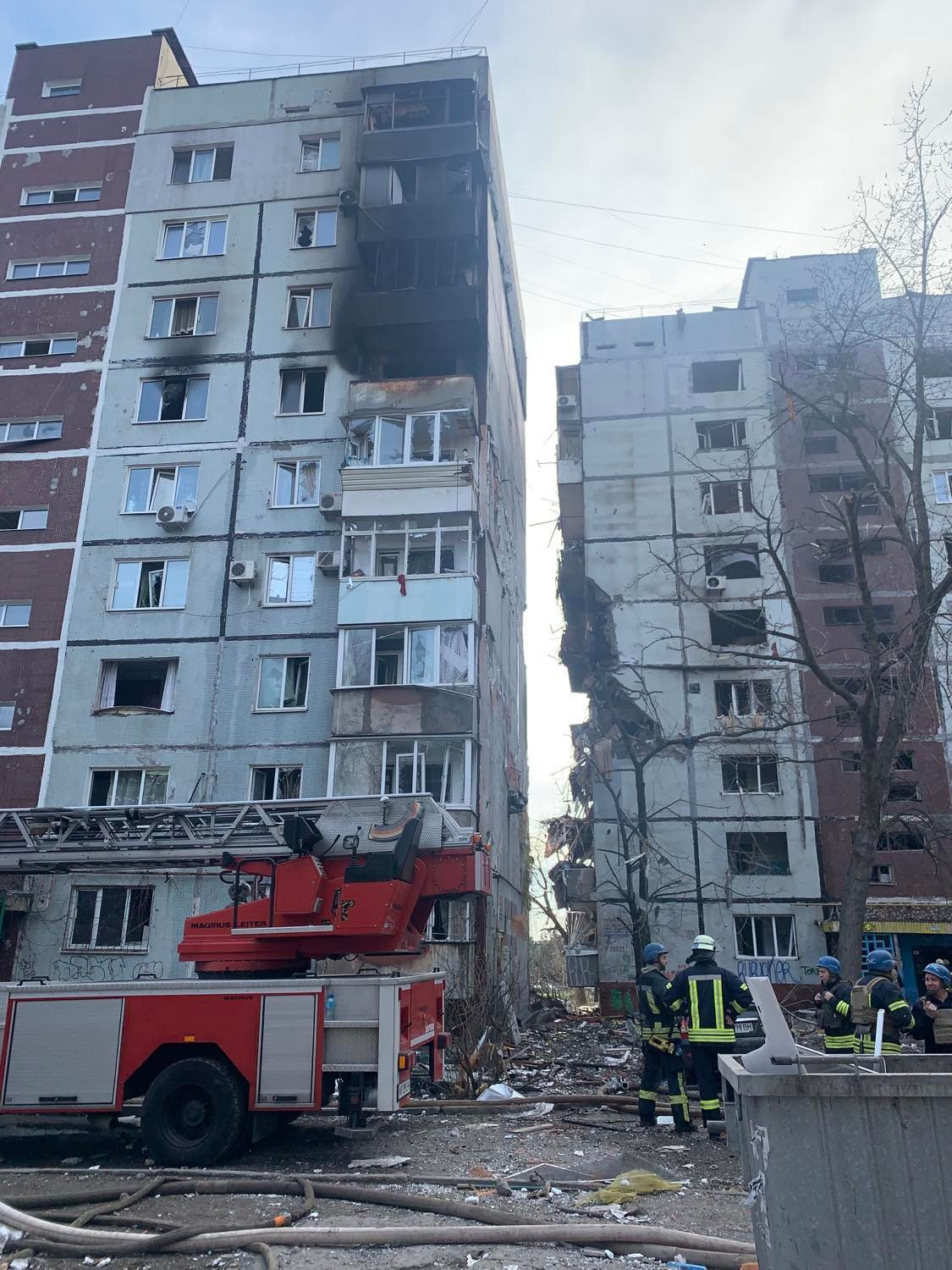 Ольга Павловська фото