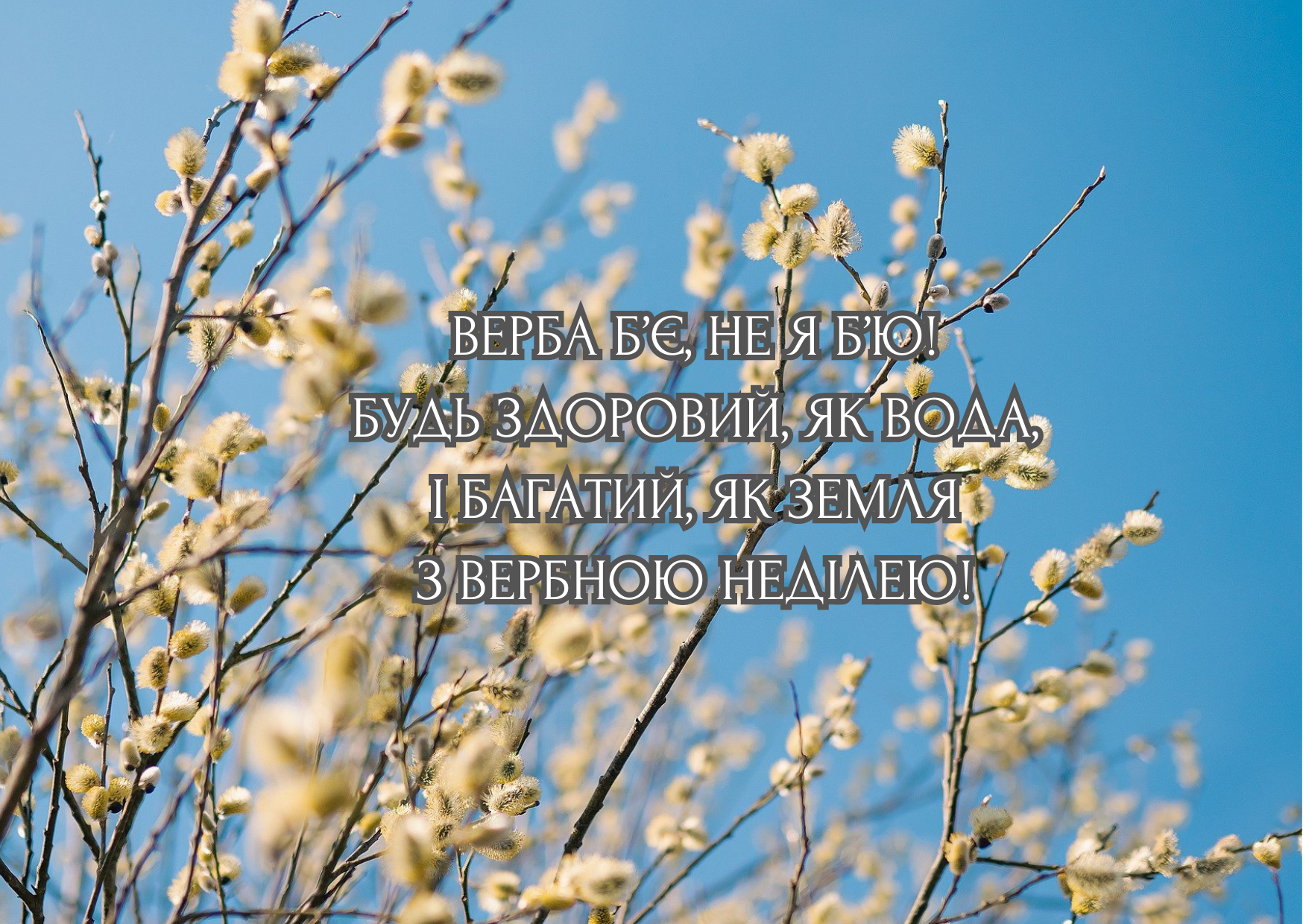 Вербна неділя листівки - 1+1