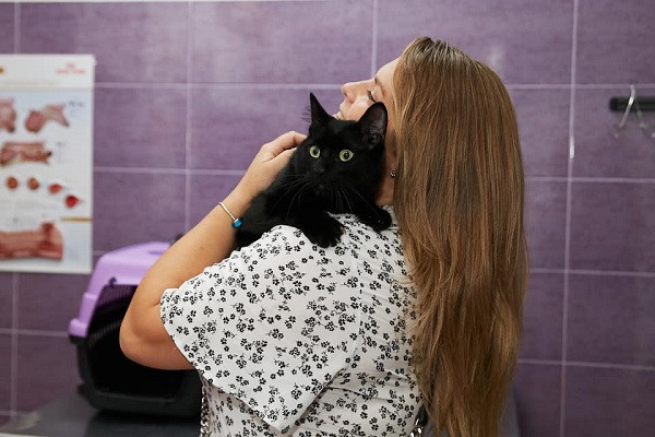 Неля Шовкопляс - 1+1