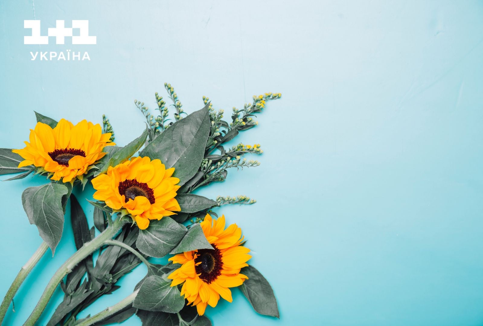 З днем вихователя привітання