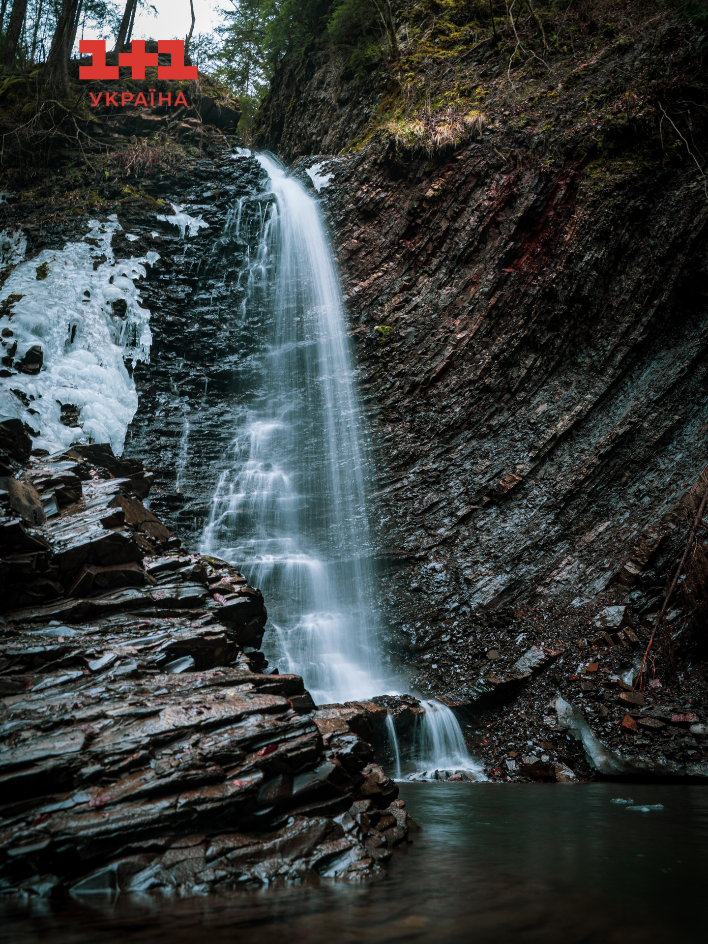 Женецький Гук 1+1