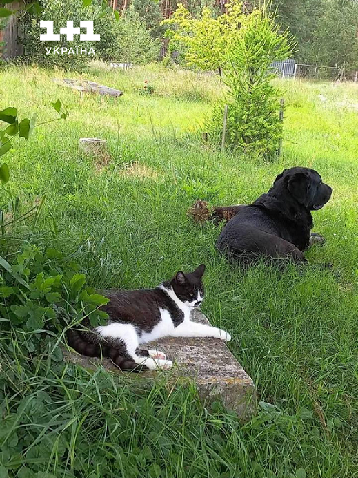 Єгор Гордєєв домашні улюбленці 1+1