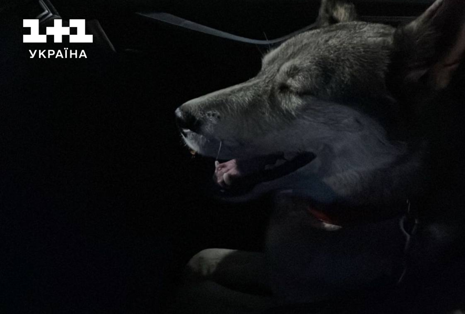 Валентина Хамайко