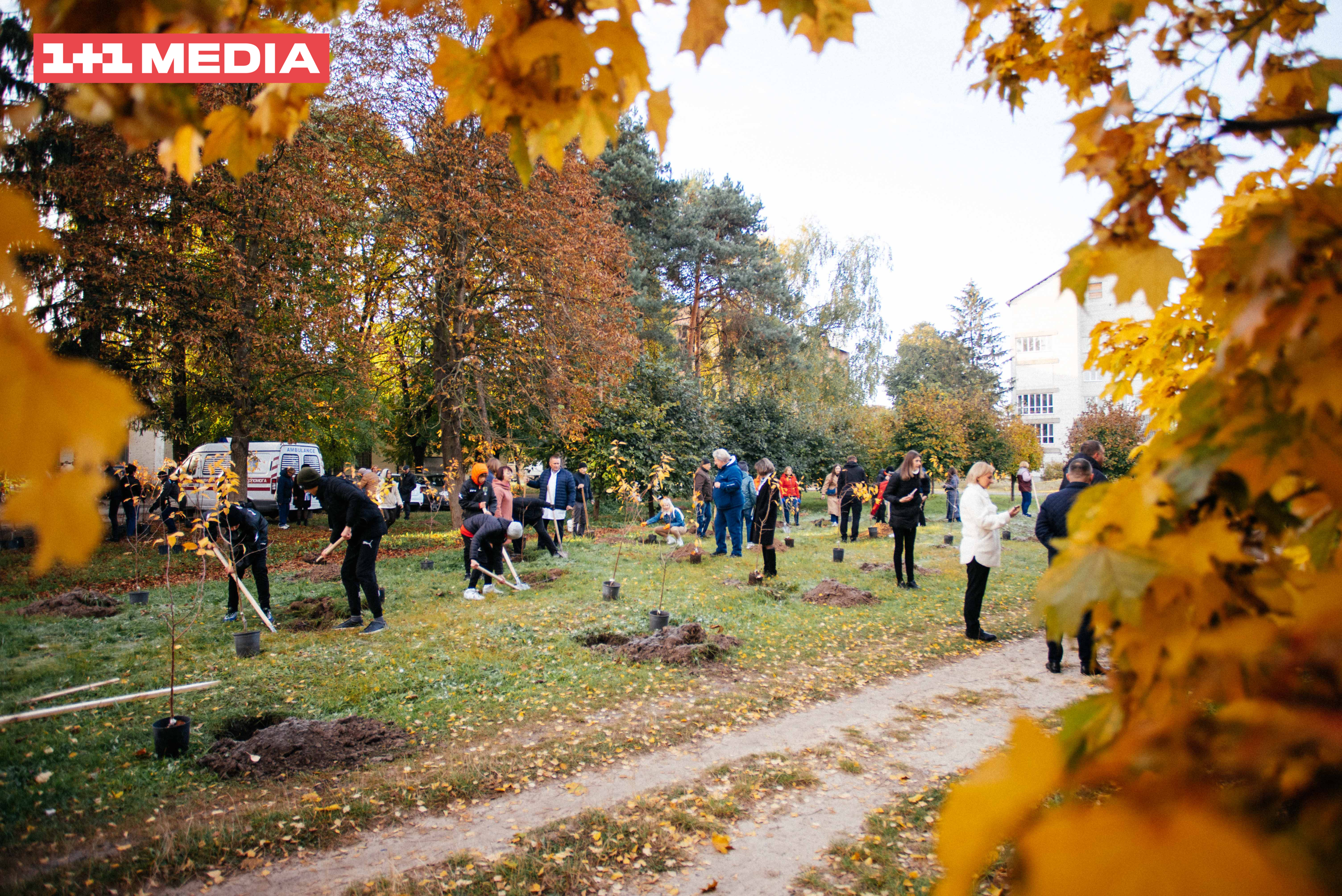 гай дитячих снів