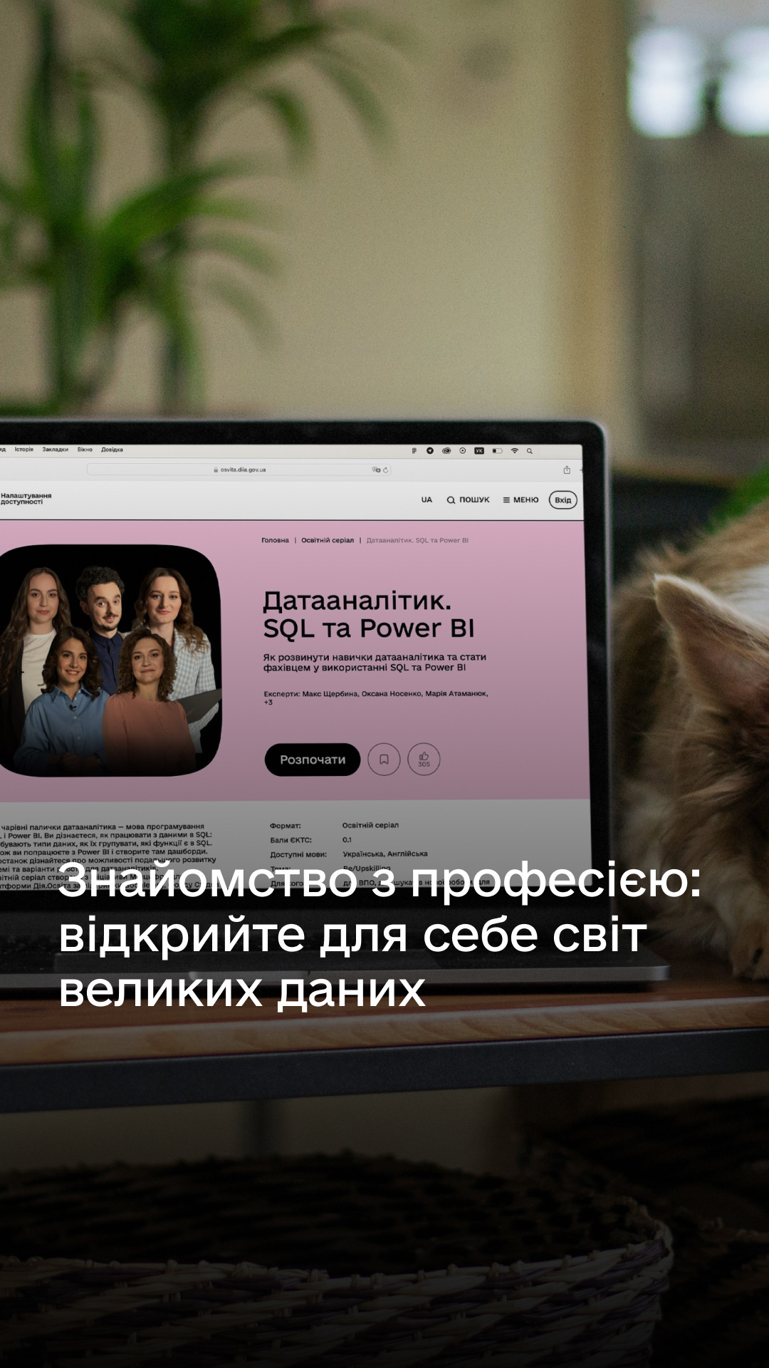 Датааналітик