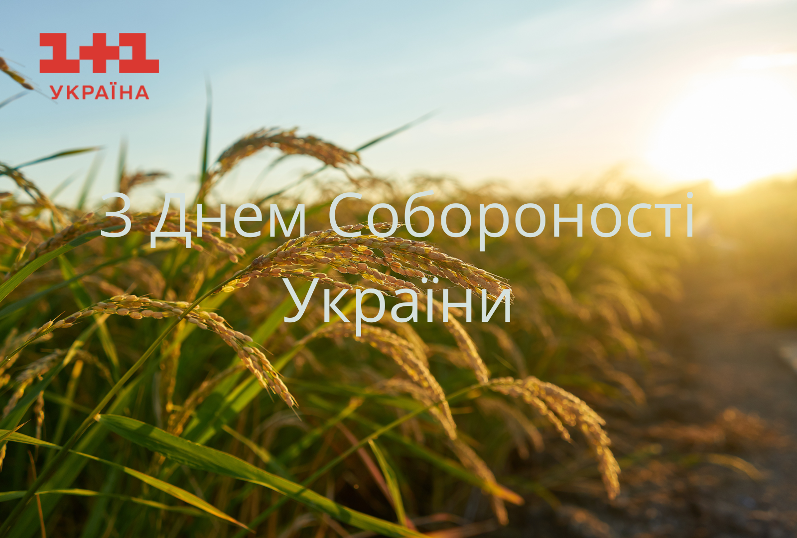 День Соборности Украины 2024