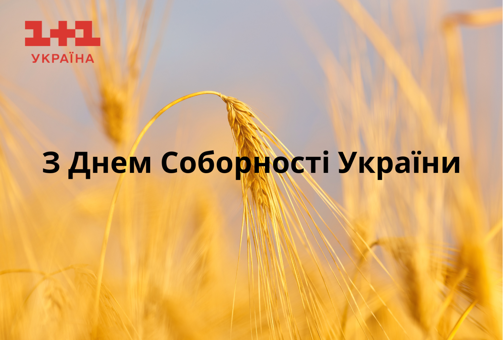 С Днем Соборности Украины поздравления в открытках