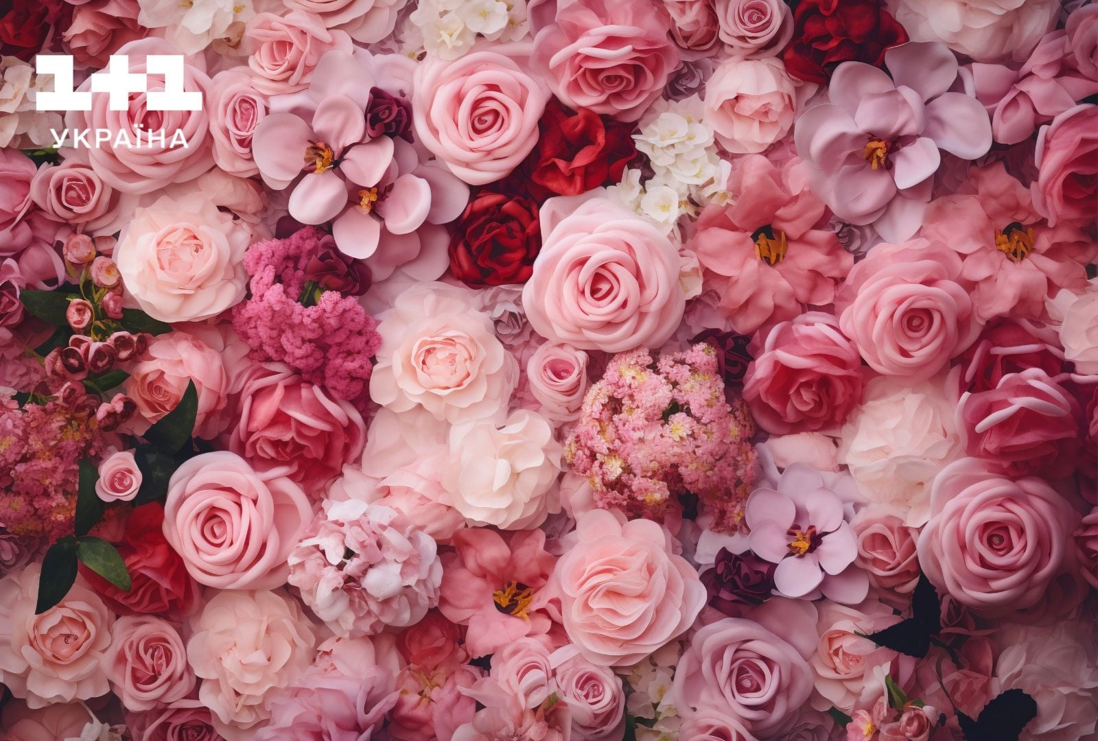 День всіх закоханих