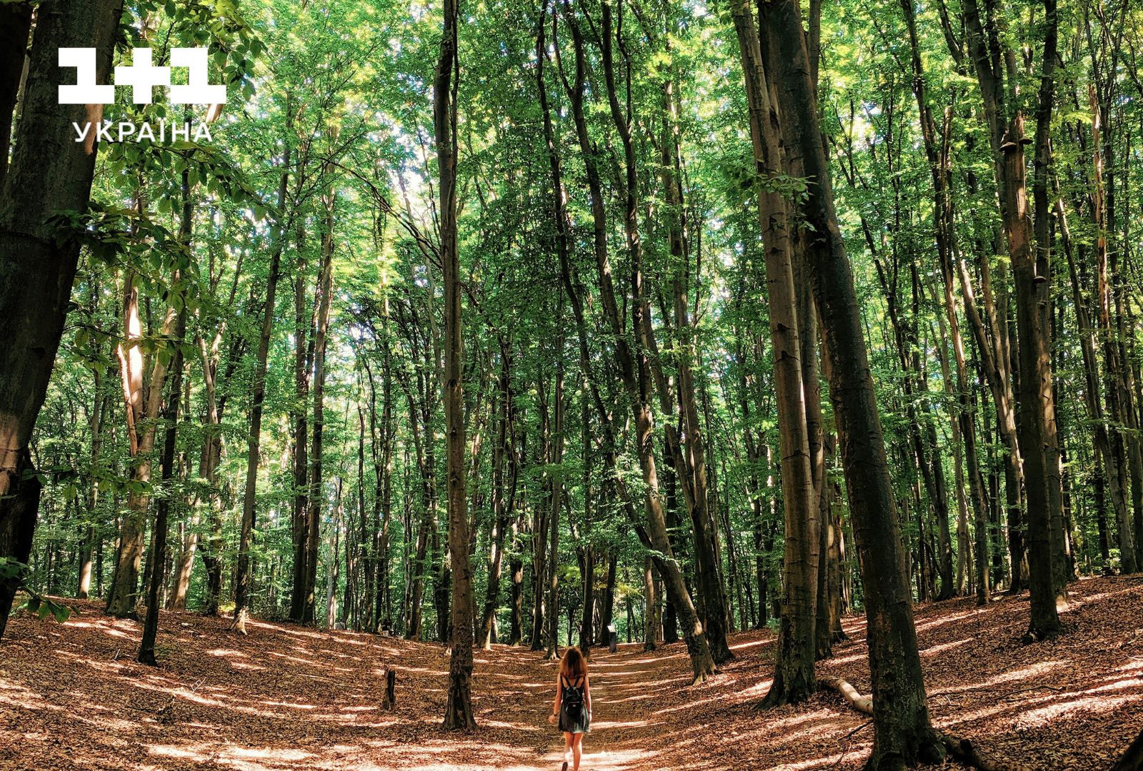 Голосіївський парк