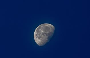 Растущая Луна в разгаре: гороскоп для всех знаков зодиака