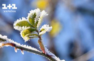 В Україну пришли заморозки: у яких регіонах похолодає