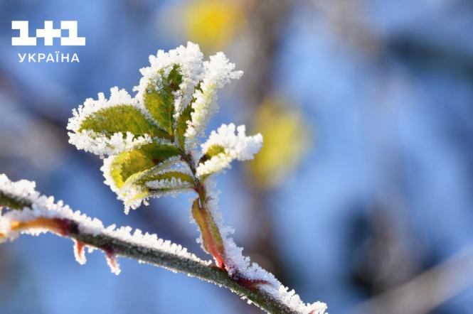 В Украину пришли заморозки: в каких регионах похолодает