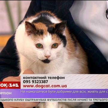 Гороскоп на 6 квітня 2018 для всіх знаків зодіаку